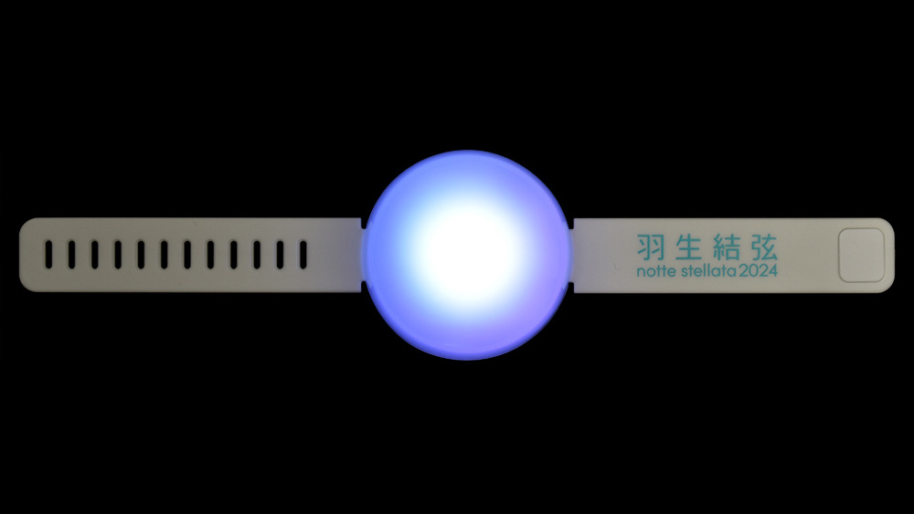 notte stellata 2024 ブレスレットライト